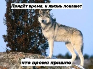 Sticker from Ауфе