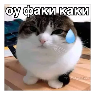 🫥 emoji Kotata_from_ @Cubic_Sodium Telegram sticker 11 of 70