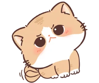 🐱 emoji ૮꒰ ｡っ -｡꒱ఎ   ⃝@mewsticks ⊹  ◜ ♡  𝅭 Telegram sticker 11 of 40