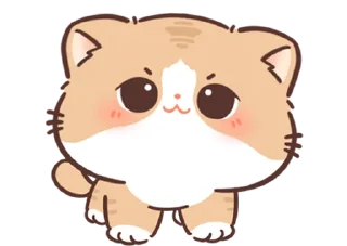 🐱 emoji ૮꒰ ｡っ -｡꒱ఎ   ⃝@mewsticks ⊹  ◜ ♡  𝅭 Telegram sticker 9 of 40
