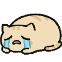 Sticker from Забавный котик @EmodzyPremium