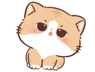 🐱 emoji ૮꒰ ｡っ -｡꒱ఎ   ⃝@mewsticks ⊹  ◜ ♡  𝅭 Telegram sticker 16 of 40
