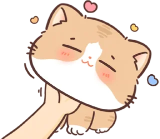 🐱 emoji ૮꒰ ｡っ -｡꒱ఎ   ⃝@mewsticks ⊹  ◜ ♡  𝅭 Telegram sticker 14 of 40