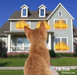 🔥 emoji Kotata_from_ @Cubic_Sodium Telegram sticker 23 of 70