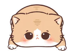 🐱 emoji ૮꒰ ｡っ -｡꒱ఎ   ⃝@mewsticks ⊹  ◜ ♡  𝅭 Telegram sticker 8 of 40