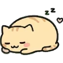 Sticker from Забавный котик @EmodzyPremium