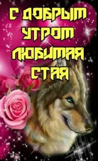Sticker from Волчий стикер-пак.