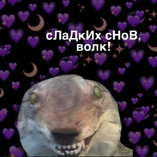 Sticker from Волчий стикер-пак.