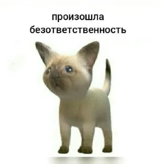 Sticker from Memes for Tanik