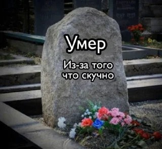 ☠ emoji Я в вашем возрасте пары бухаю Telegram sticker 15 of 55