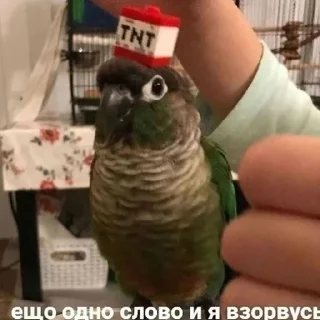 Sticker from Жизнь крепка