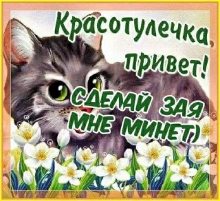 👋 emoji Я в вашем возрасте пары бухаю Telegram sticker 23 of 55