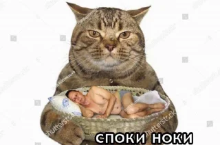 😴 emoji Я в вашем возрасте пары бухаю Telegram sticker 8 of 55