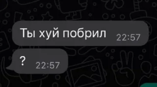 👀 emoji Я в вашем возрасте пары бухаю Telegram sticker 19 of 55
