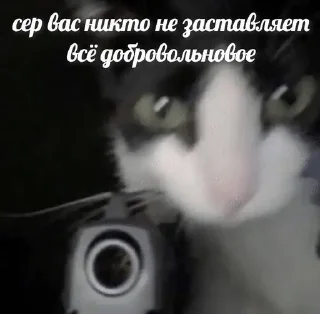 Sticker from это уже слишком