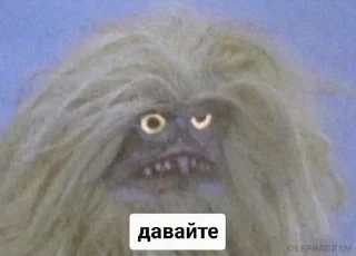 Sticker from Memes for Tanik