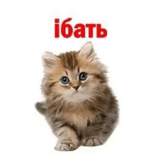 🌟 emoji Video Favorite stickers Telegram sticker 10 of 50