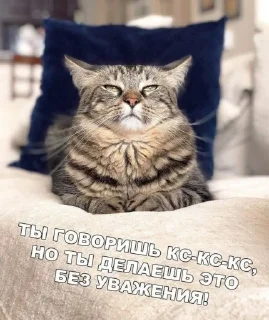 Sticker from Ю