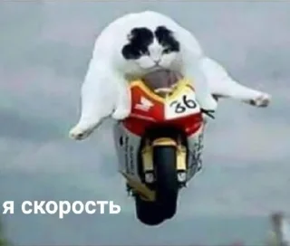 Sticker from Ю