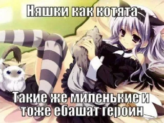 🐈 emoji ты у моих колен Telegram sticker 23 of 54
