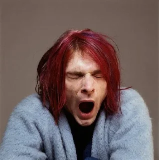🤭 emoji kurt cobain Telegram sticker 11 of 104