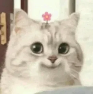 Sticker from Котики^^