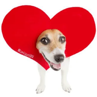 сашулькинс1 sticker 3
