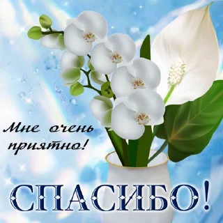 сашулькинс1 sticker 2