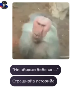 🇺🇬 emoji 🇷🇺Русская Империя pack by @QuotLyBot Telegram sticker 21 of 120