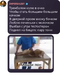 🦹‍♀️ emoji 🇷🇺 Русская Империя 🇷🇺 pack by @QuotLyBot Telegram sticker 13 of 120