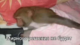 🌟 emoji Бебезяны Telegram sticker 4 of 54