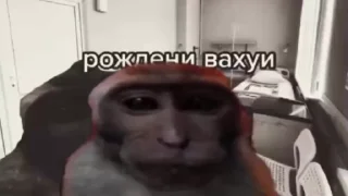 Sticker from Стикеры @stickrubot @textmeru_bot