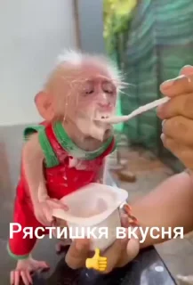 🌟 emoji Бебезяны Telegram sticker 12 of 54