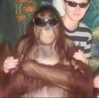 Sticker from Monkey squad