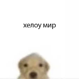 Sticker from пес