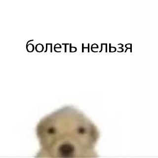 Sticker from пес