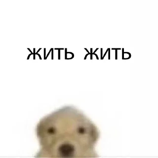 Sticker from пес