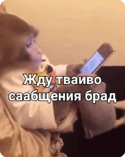 Sticker from Бибизяны