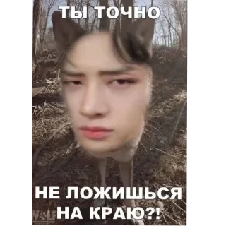 Sticker from Stray kids