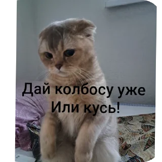 Sticker from Вася @tgfonts_bot