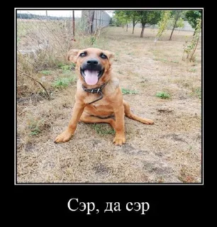 Sticker from арбуzик @tgfonts_bot
