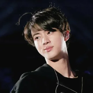 🐹 emoji JIN by @emptyhlp Telegram sticker 19 of 25