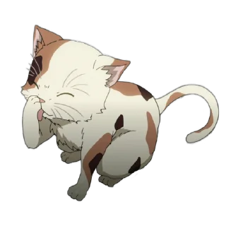🐱 emoji Haruhi Suzumiya Telegram sticker 24 of 25