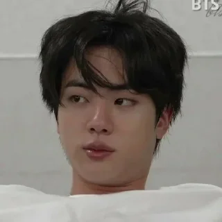 🐹 emoji JIN by @emptyhlp Telegram sticker 24 of 25