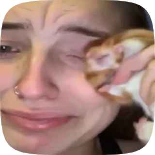 😭 emoji Video Favorite stickers Telegram sticker 19 of 49