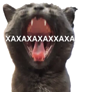 Sticker from Белочка