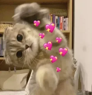 🥰 emoji Favorite stickers Telegram sticker 8 of 98