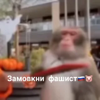 ✊ emoji Україна понад усе!💛💙✊️ Telegram sticker 11 of 99