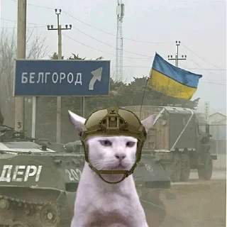 😛 emoji Україна понад усе!💛💙✊️ Telegram sticker 17 of 99