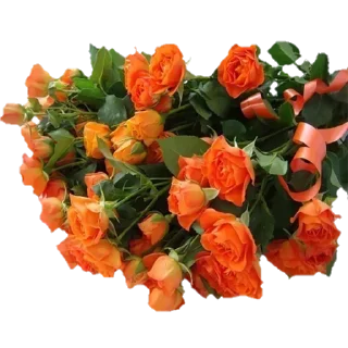 🌹 emoji @sticksbb 🩷 <- канал со стиками Telegram sticker 12 of 45